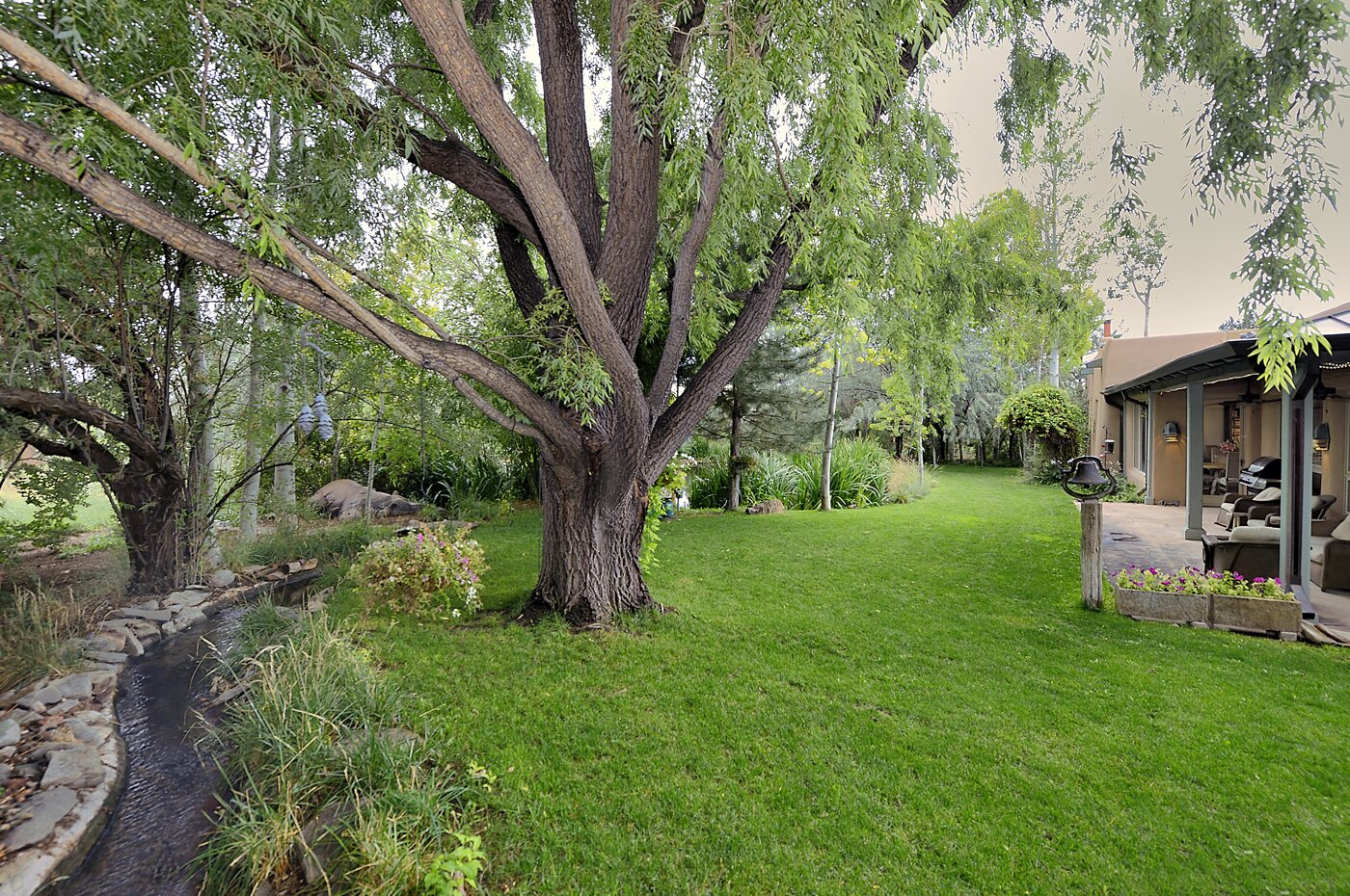 Stream and Back Yard