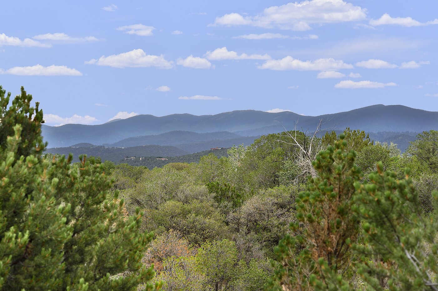 Sangre de Cristo View