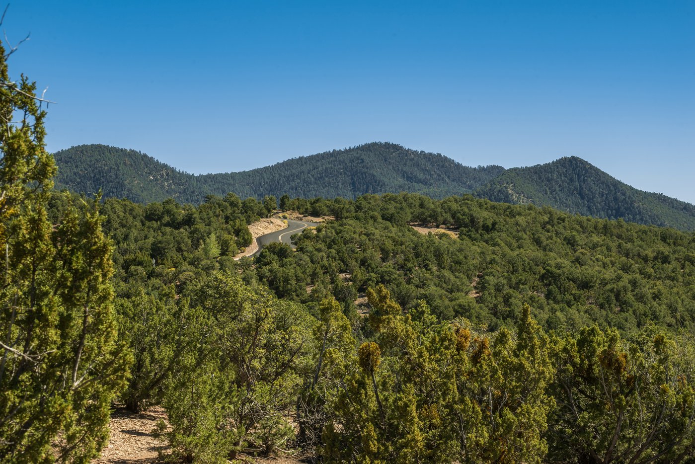 View of neighboring foothills