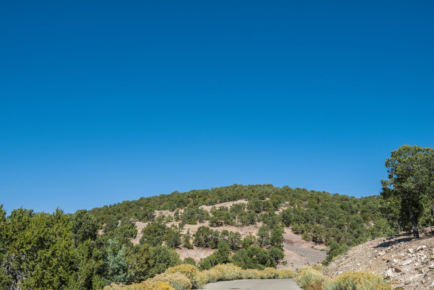 Looking Up at the Property from the Road